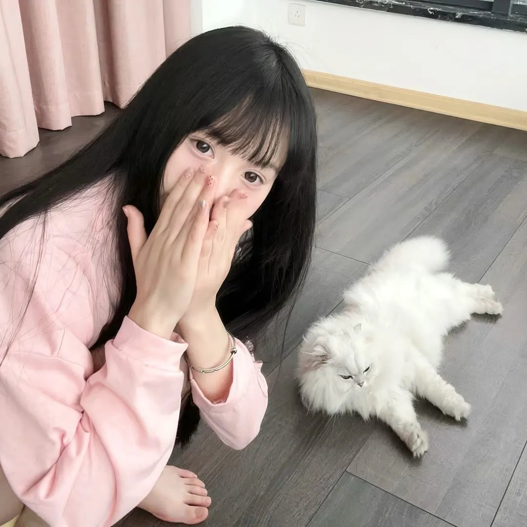 罗小黑战记2